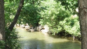 Reka Pčinja - Odmor u prirodi