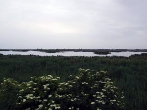 Ludaško jezero - Odmor u prirodi