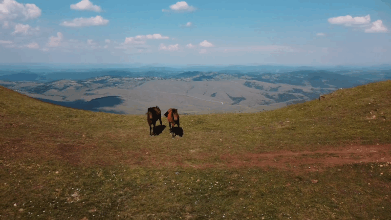 Zlatibor